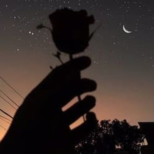 国产亚洲欧美在线
